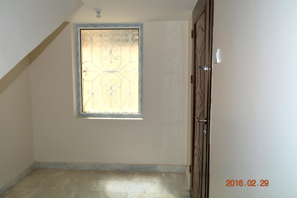 تضامن سيتي 1